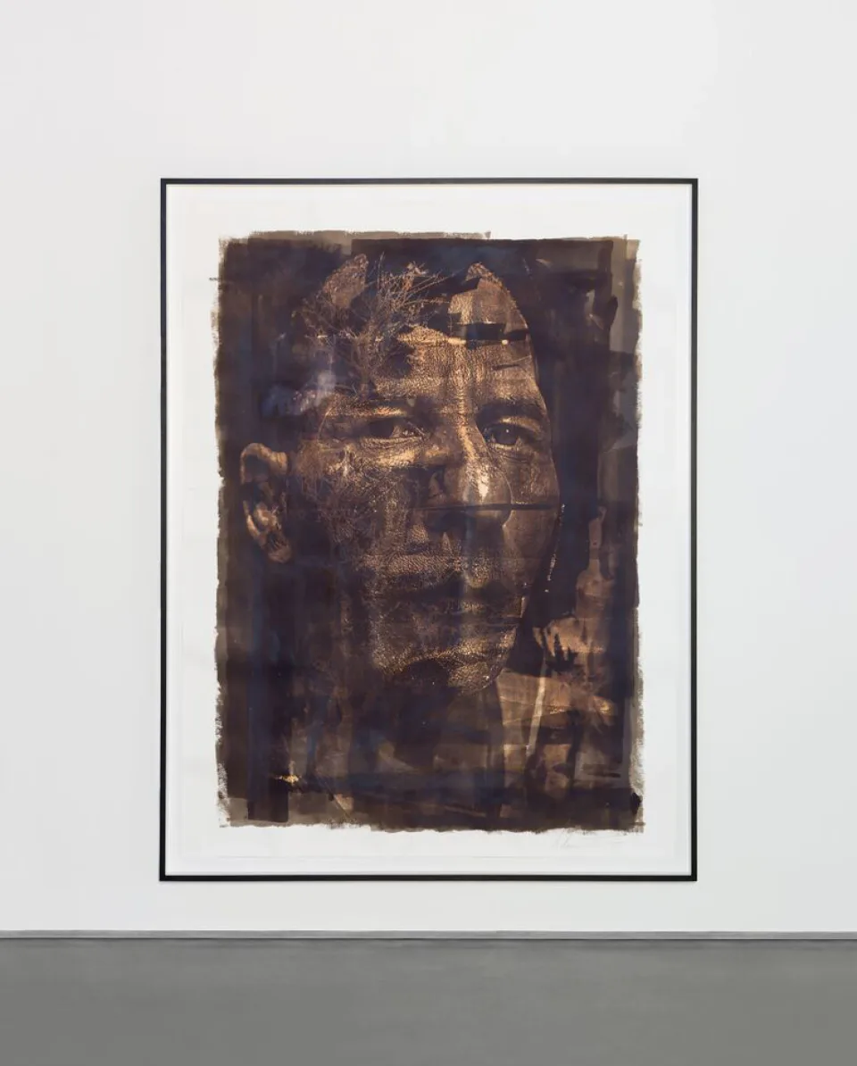 Dilacerar Series #01 — Papel, 2014