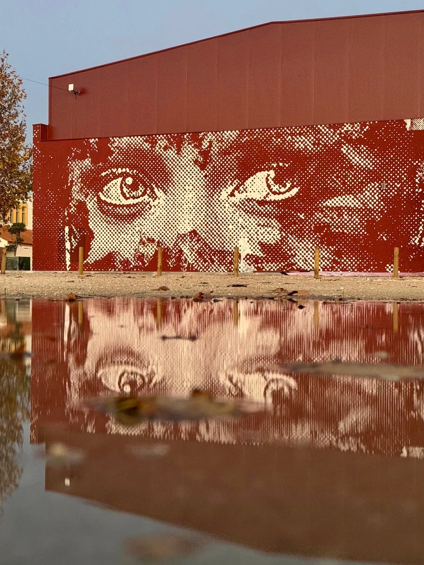 Montemor-o-Velho Commission — Walls work, 2025, Montemor-o-Velho, Portugal