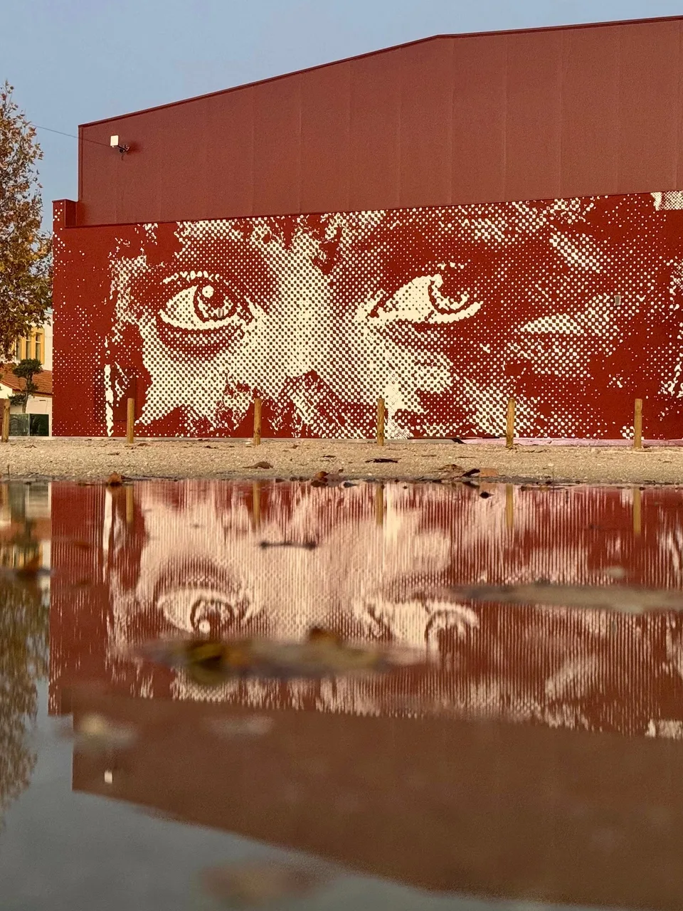 Montemor-o-Velho Commission — Walls work, 2025, Montemor-o-Velho, Portugal