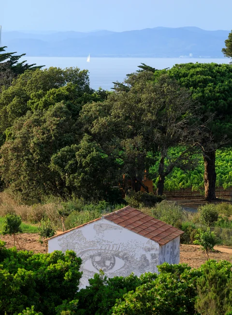 Fondation Carmignac — Walls work, 2018, Île de Porquerolles, France