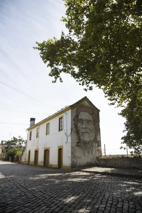 D. Florinda — ESTAU, Estarreja Arte Urbana — Paredes, 2017, Estarreja, Portugal