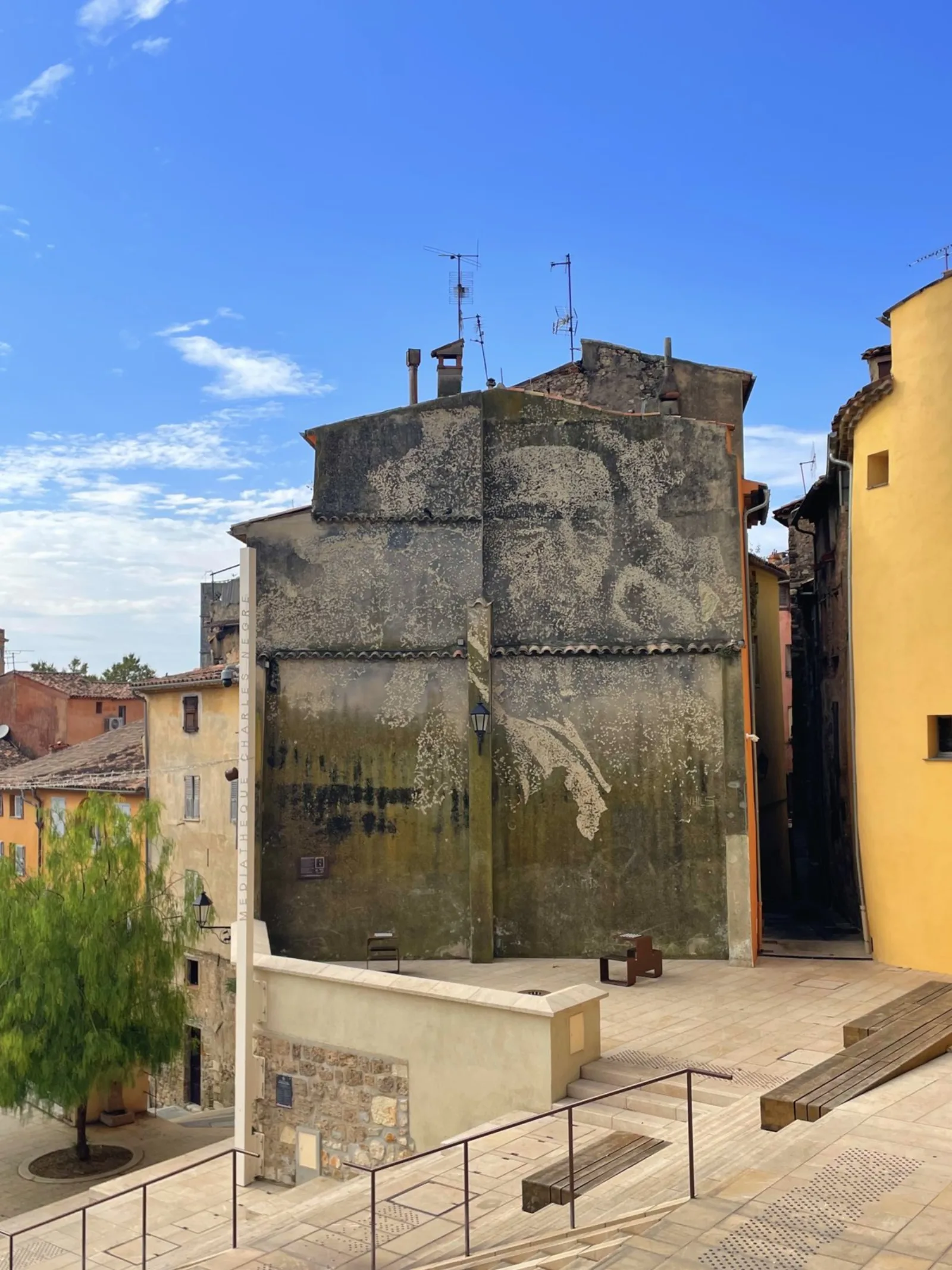 Grasse Wall Portrait — Paredes, 2020