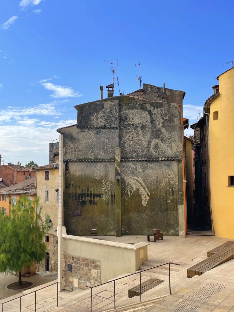 Grasse Wall Portrait — Paredes, 2020