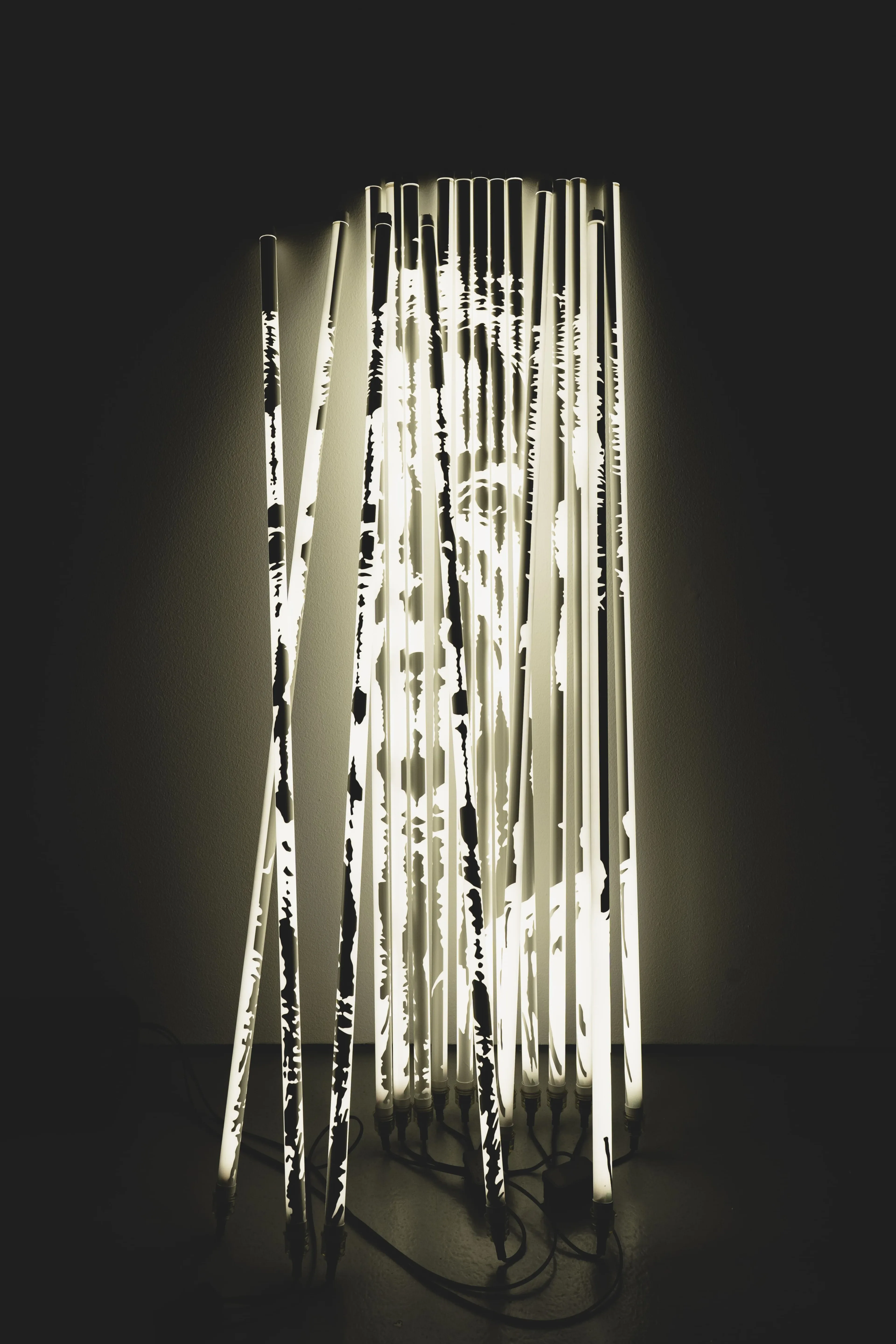 Diafragma Series #04, 2024 — Light work, 2024