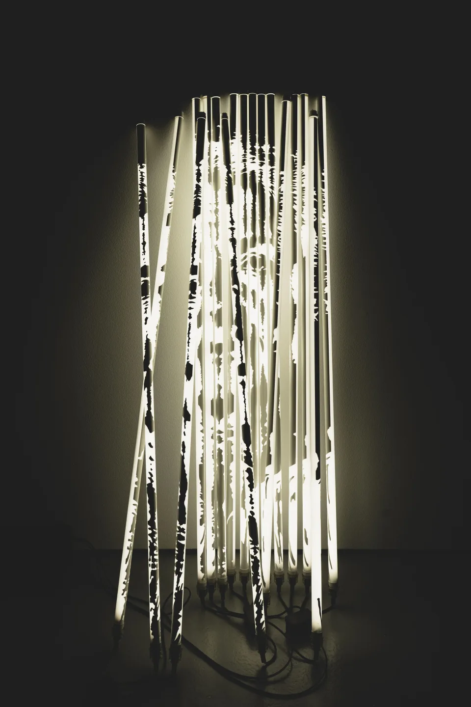 Diafragma Series #04, 2024 — Light work, 2024